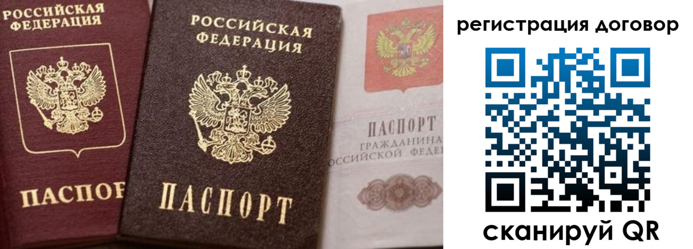 прописка 2025 в Мурино
